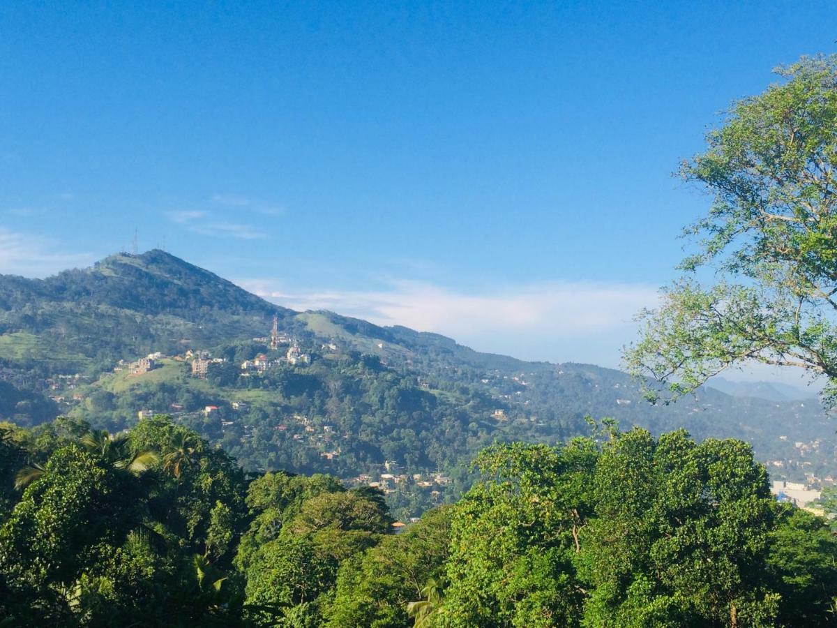 Selyna Sky Terrace Bed & Breakfast Kandy Exterior photo