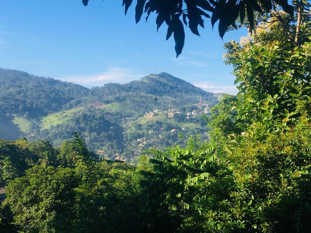 Selyna Sky Terrace Bed & Breakfast Kandy Exterior photo